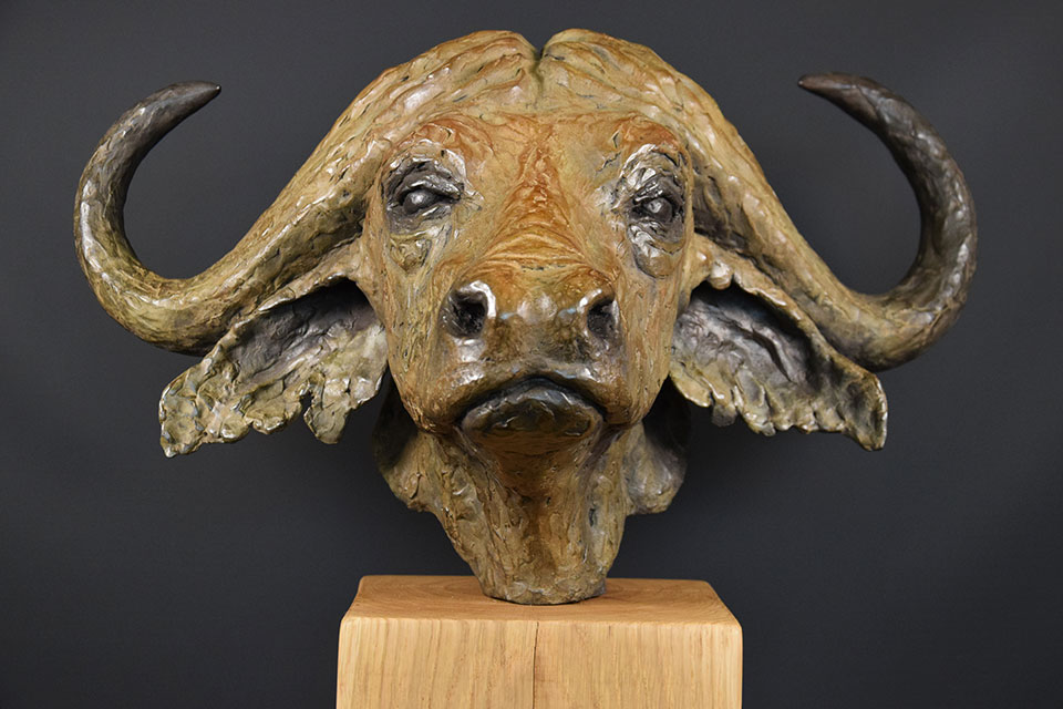 buffel-in-brons-voorkant