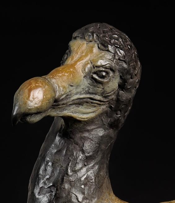 Dodo in brons kop