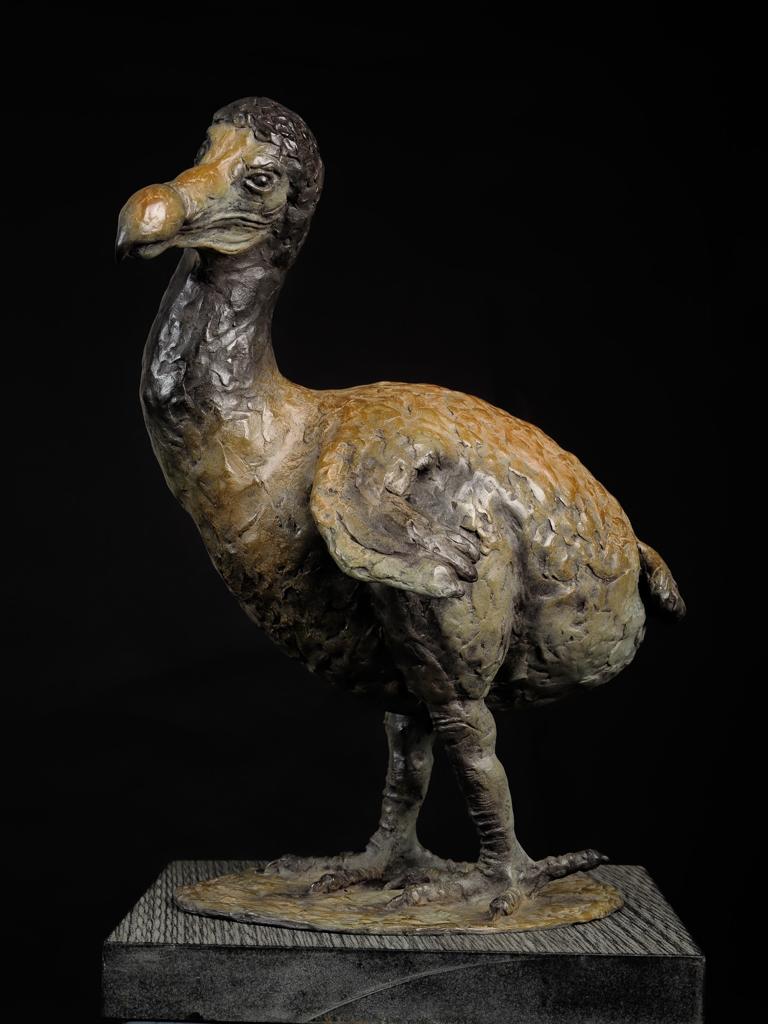 Dodo in brons links