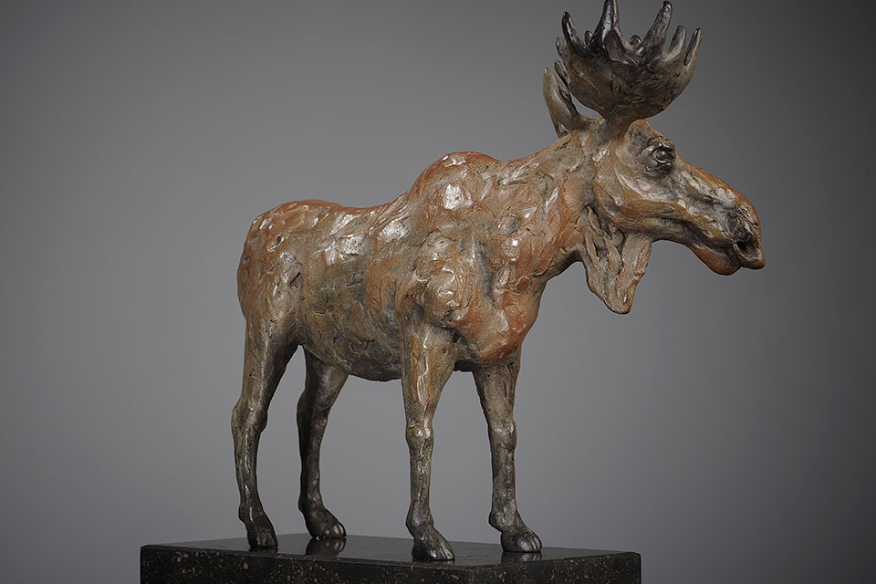 Eland in brons voorblad