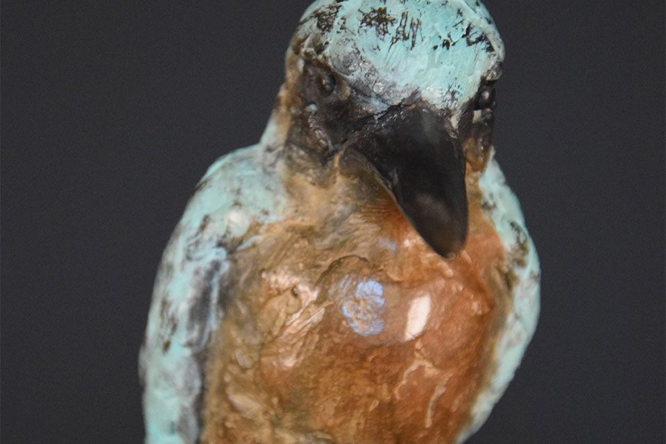 ijsvogel-in-brons-voorkant