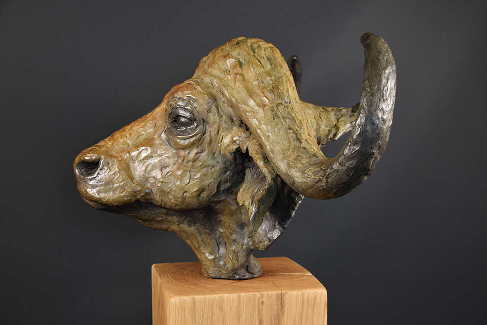 buffel-in-brons-links