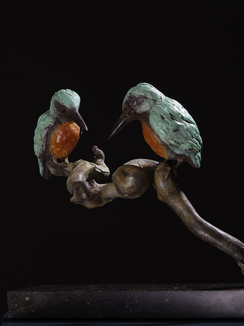 dubbele ijsvogel op tak voorblad