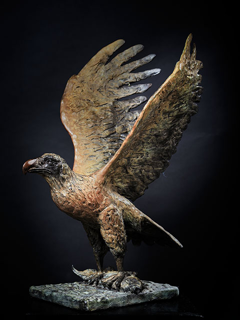 Arend-in-brons-voorblad